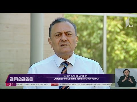 „ლეიბორისტული პარტიის“ სარჩელი