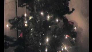 Christmas Carol - Little Donkey