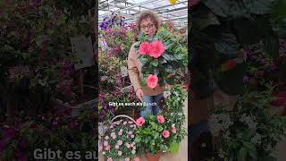 Kommt unbedingt vorbei &amp; lasst euch inspirieren🥰 #gartencenter