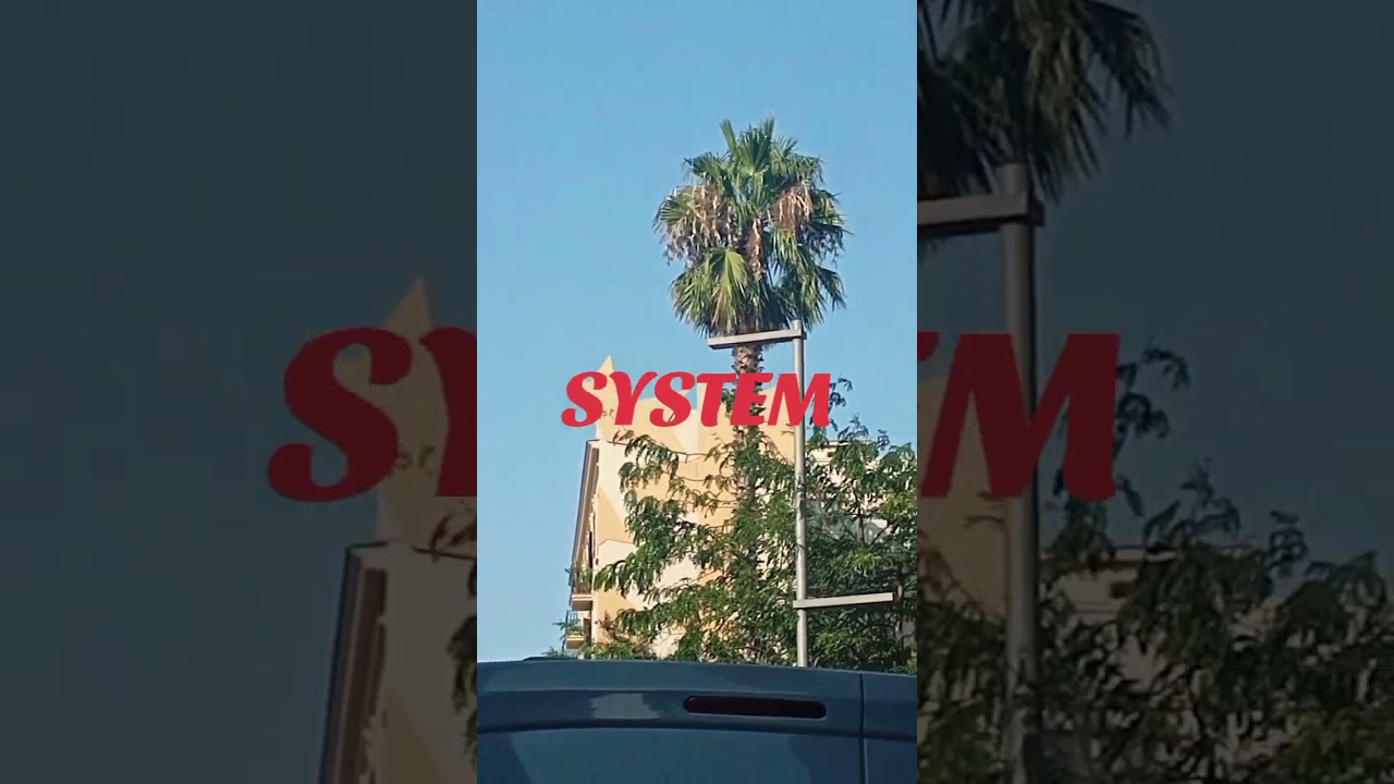 Watch Perro Loco X - System on YouTube Watch Perro Loco X - System on YouTube