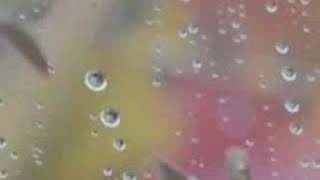 Hai Tu Thebe Thebe Pavsa Creation S App Status