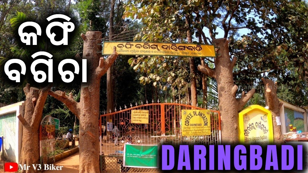 Coffee☕Garden 🏡 Daringbadi Part 4 4k Vlog. YouTube