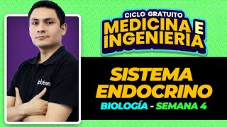 Ciclo Gratuito - Biología - Sistema Endocrino