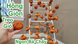 Lần đầu làm hồng giòn treo gió từ hồng hái ngoài vườn, ngon tuyệt vời ??1058》Cuộc Sống Canada