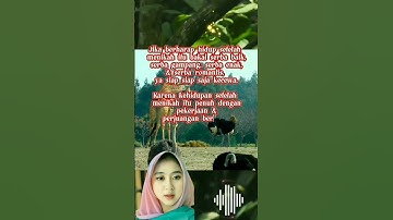 Kehidupan setelah menikah penuh.. #shorts
