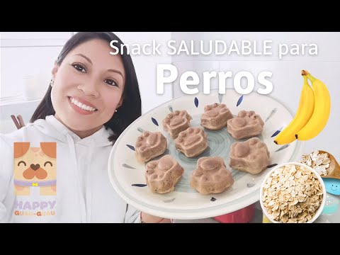 Video: Consejos para esconder pastillas para perros en los alimentos