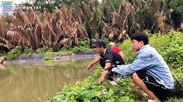 Thả câu 4 cần 1 chổ cá ăn liên tục giật không kịp | THÚ VUI MIỀN TÂY. 21