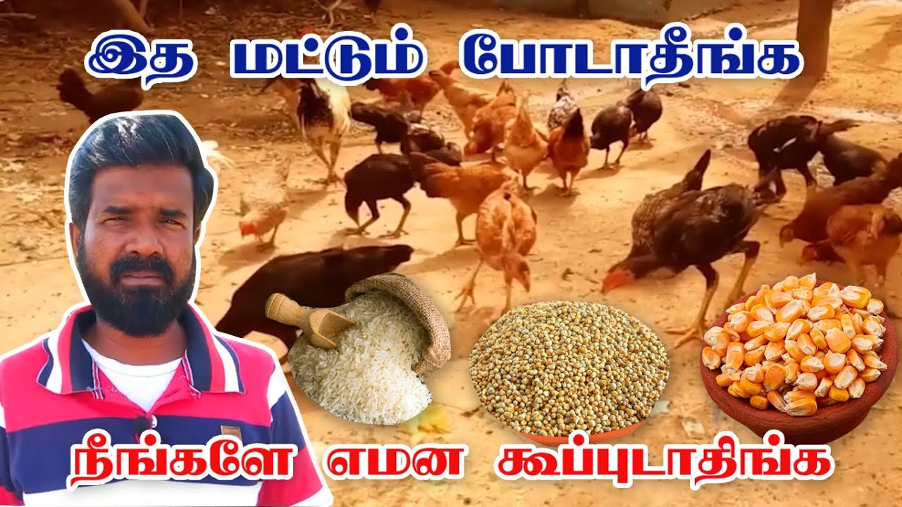 இத மட்டும் போடாதீங்க| நீங்களே எமன கூப்புடாதிங்க | TAMIL | GUNA NATTUKOZHI PANNAI