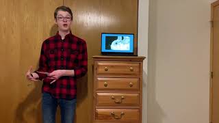 Persuasive Speech - Animal Testing