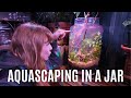 Simple Jar Aquascape Anyone Can Do!