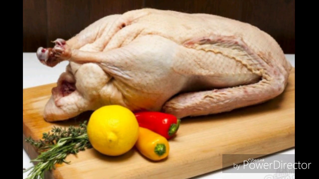 Гу́шт хак,ида хак,ик,атлар  У́рдак гу́шти Go sht haqida haqiqatlar O rdak go shti  HD