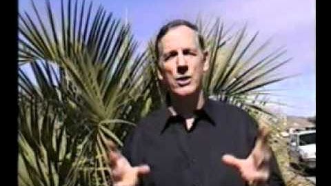 XARA 3D GRAPHICS & PHOTO EDITOR DEFINED!