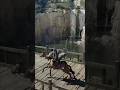 『紅の砂漠』実際クソゲーなのか神ゲーなのか検証する為に購入した変な人~プレイ時間30分程度のダイジェスト~