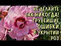 НЕ ДЕЛАЙТЕ ТАК НИКОГДА! ПОТЕРЯЕТЕ РОЗЫ! Грубейшие ОШИБКИ и ЗАБЛУЖДЕНИЯ при укрытии роз!