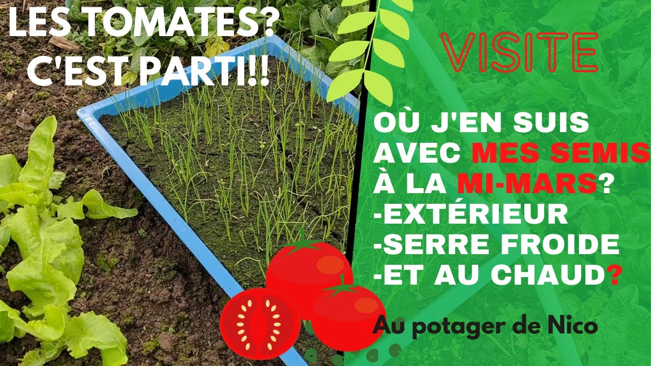 Les semis à la mi mars 😍, qu'est ce que ça donne?