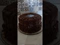 continuação do vídeo primeiro bolo olha como o bolo ficou