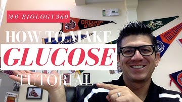 How to Build Glucose