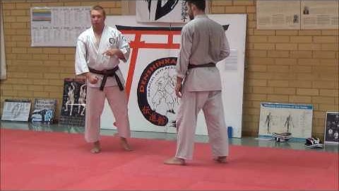 Haiwan Sokumen Uke Application. Heian Nidan, Heian Godan