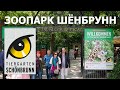 🦒 Зоопарк Шёнбрунн, Вена, Австрия, 4K UHD