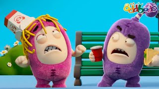 oddbods new paranoia funny cartoons for kids