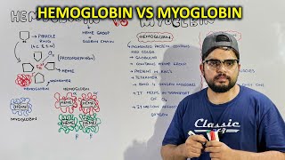 Hemoglobin And Myoglobin Structure, Composition, Similarities And Differences