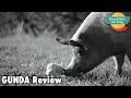 Gunda movie review - Breakfast All Day