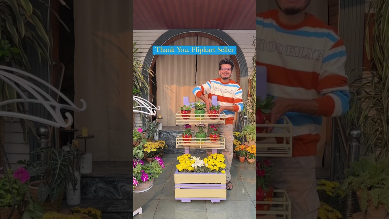 Just what I needed to add extra colour & a touch of beauty to my home garden 