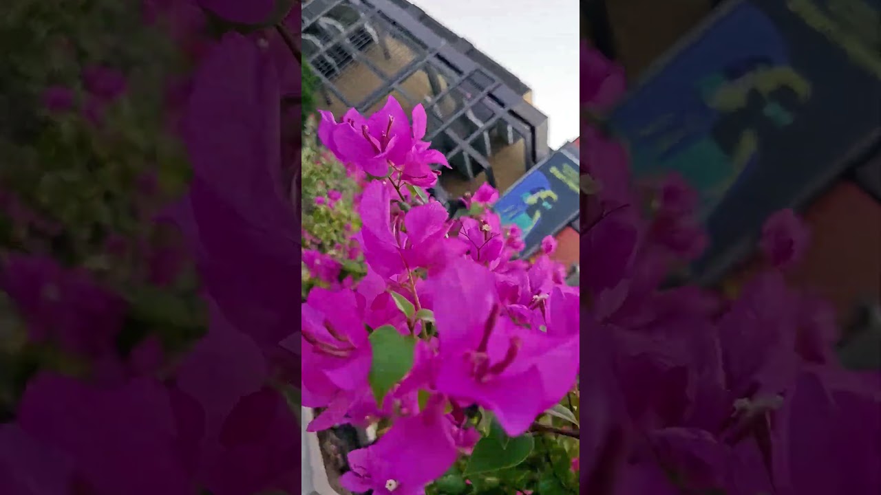 Waooh😲Beautiful ❤️| Aitbaar Nhi Karna | Shorts | 