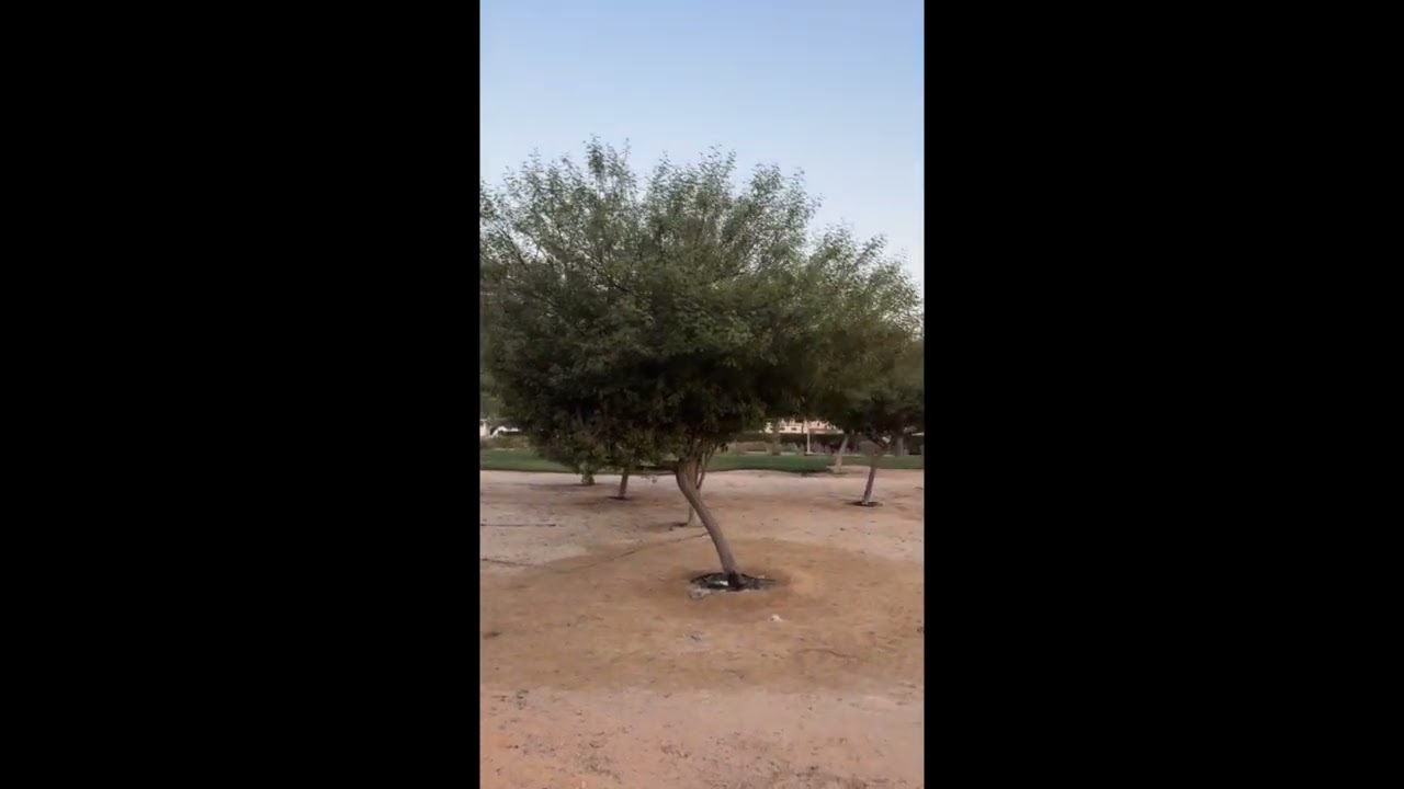 My First Vlog! 🎥 | RK Vibes