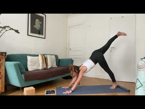 Bird of paradise again