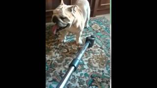 VID 20141231 131213