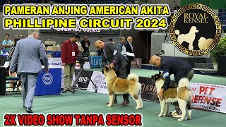 UNCENSORED : American Akita Show  Phillipine Circuit 2024