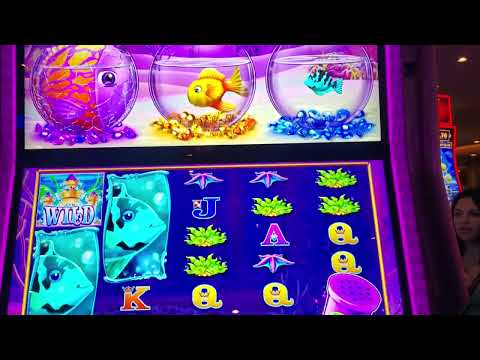 Southland Casino Hotel Review West Memphis Arkansas