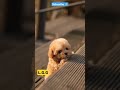 Cute  tiktok cute beststuff