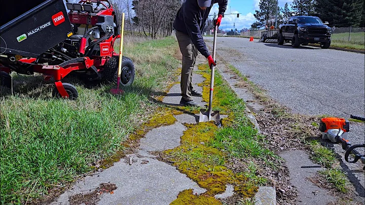 I Discovered A MOSS INFESTED Sidewalk And SCRAPED It Clean