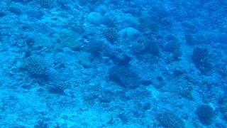 MVI_0748.AVI