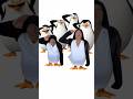 WAIT FOR IT! 🐧🤣 #funny #shorts