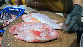 Easy Red Tilapia Prep – Clean & Slice Like a Pro! #fish #seafood #asmr #fishcutting #cuttingfish