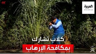 العربية ترصد مراحل تدريب الكلاب على المشاركة في مكافحة الإرهاب screenshot 1