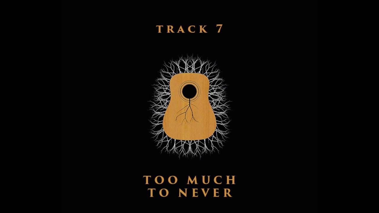 PC-ONE - TOO MUCH TO NEVER (Creative Commons Acoustic Music)