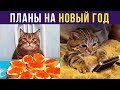 Приколы. Планы на Новый год | Мемозг #163