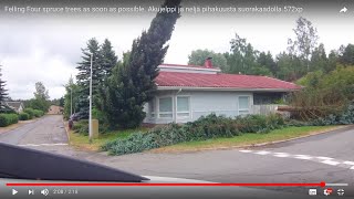 Felling Four spruce trees as soon as possible. Puunkaato, neljä pihakuusta suorakaadoilla. 572xp
