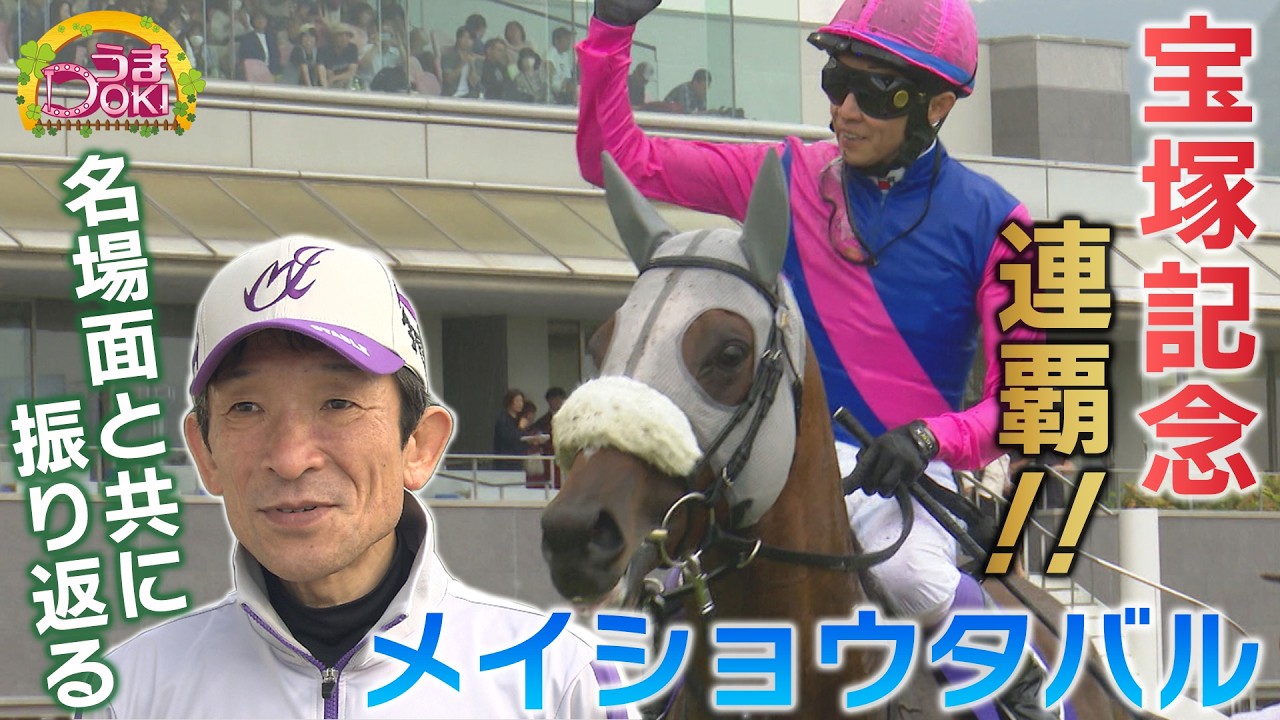 Looking Back at the First Half G1 Highlights: Meisho Tabaru