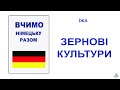 Вчимо німецьку разом  ЇЖА (ЗЕРНОВІ КУЛЬТУРИ)