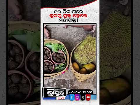 ସୁସ୍ଥ ହେଲେ ମହାପ୍ରଭୁ... #ytshorts #shortsvideo  #JagannathTemple #Puri #KhadilagiEkadashi #Anasara