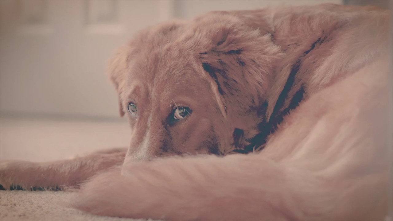 Slow Jam Short Film by Rayvon L. Walker YouTube