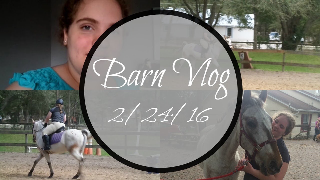 Barn Vlog || 2/24/16 - YouTube