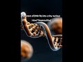 Nearly 6 feet (2 meters) of DNA store into tiny cell