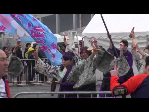 江戸の華＠2015　東京マラソン