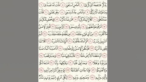 سورة عبس للشيخ زكي داغستاني رحمه الله